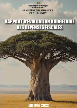 Miniature de Rapport d'évaluation budgétaire des dépenses fiscale édition 2022